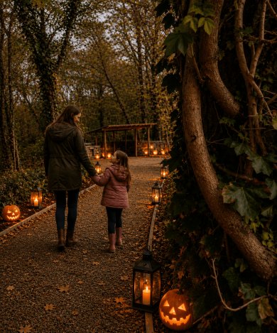 Halloween Woodland Walk