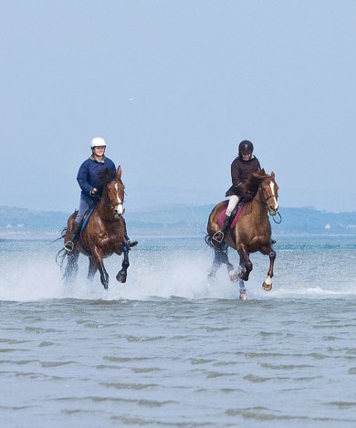 Leisure Breaks in Westport